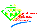 EEDF